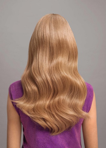 Wellaplex Hair Treatments at Frances Hunter Hairdressers in Stirling